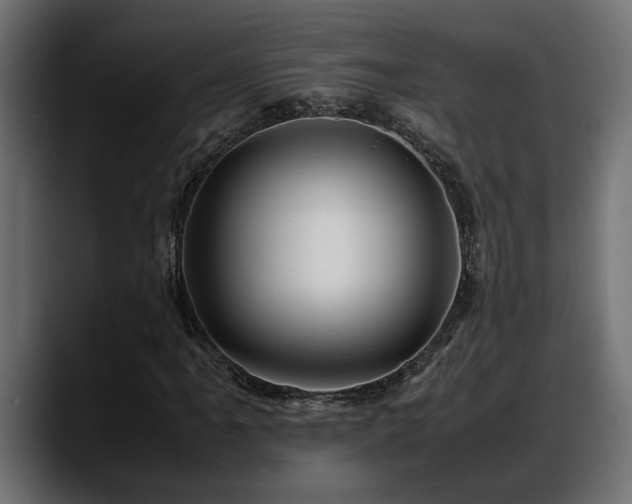 X0000088361061200705291303