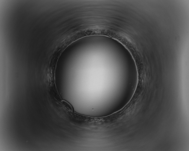 X0000088361062200705291303