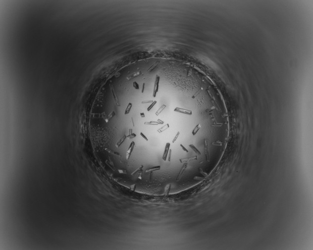 X0000088361063200705291303