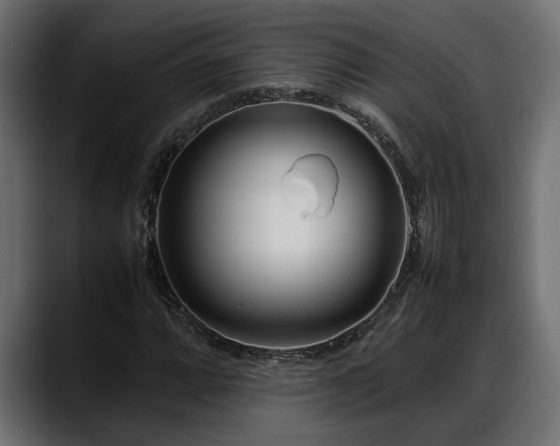 X0000088361064200705291303