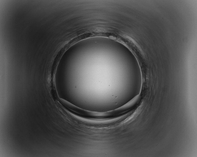 X0000088361065200705291303