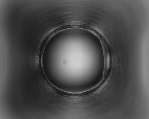 X0000088361066200705291303