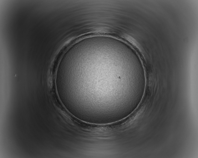 X0000088361067200705291303