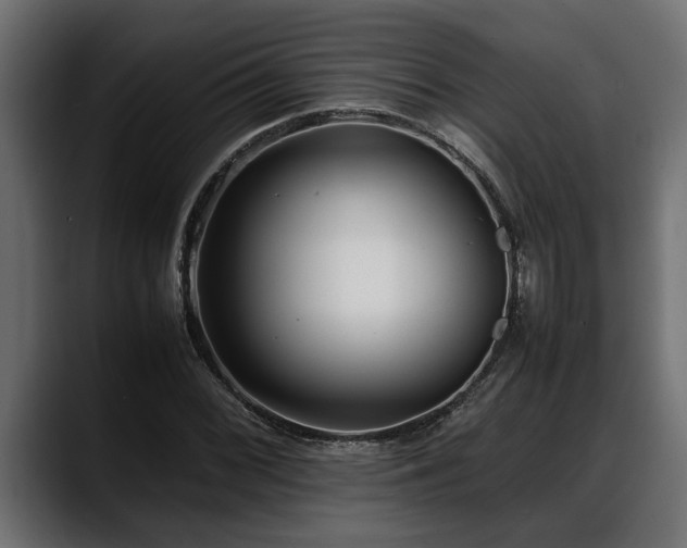 X0000088361068200705291303