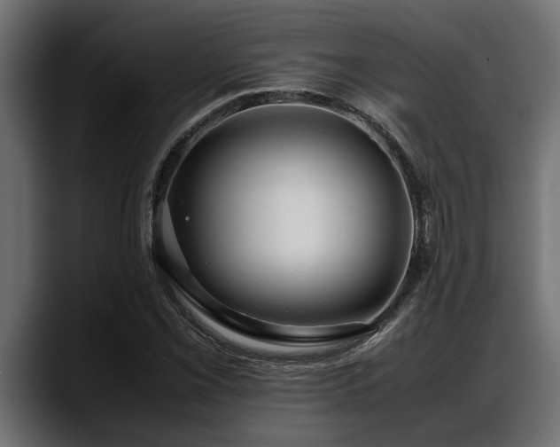 X0000088361069200705291303