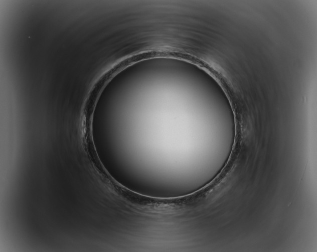 X0000088361070200705291303