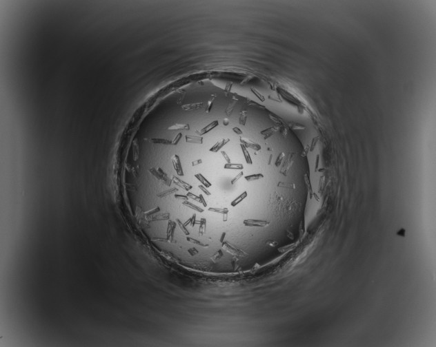 X0000088361071200705291303
