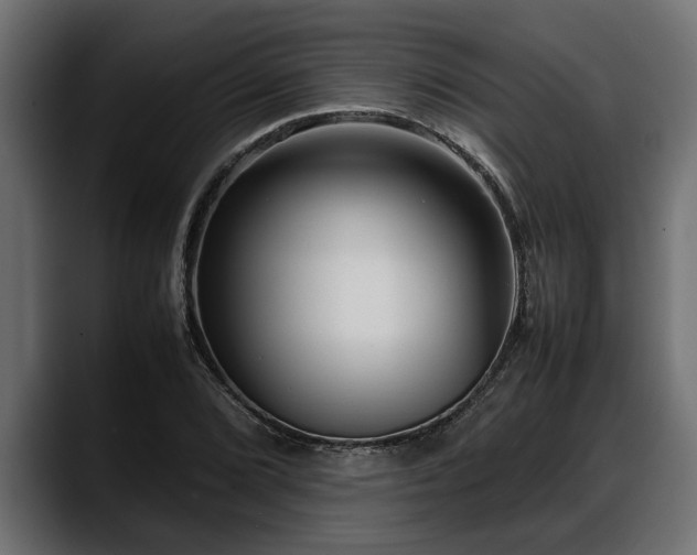 X0000088361072200705291303