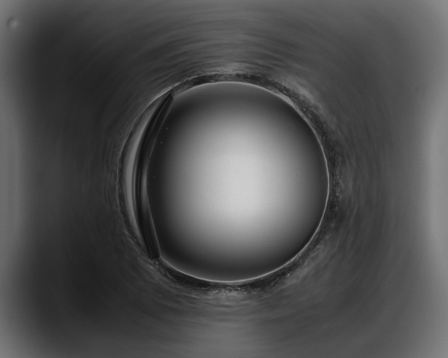 X0000088361073200705291303