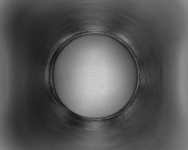 X0000088361074200705291303