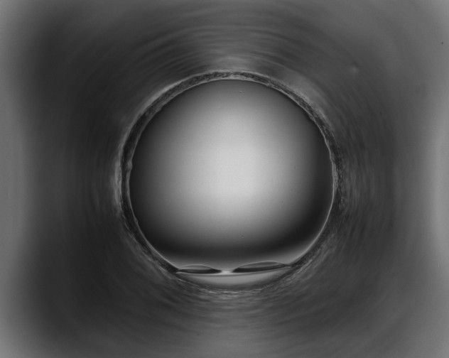 X0000088361076200705291302