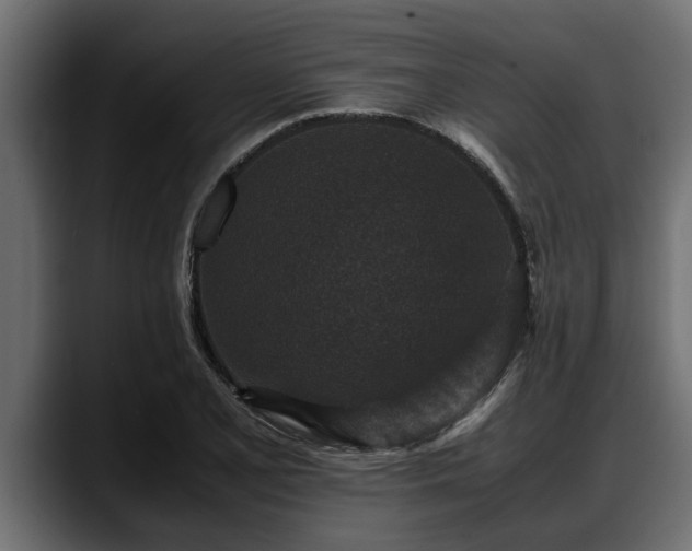 X0000088361077200705291302