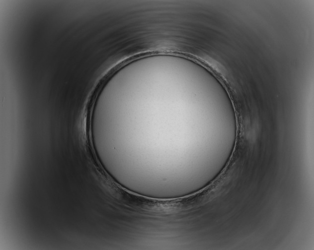 X0000088361078200705291302