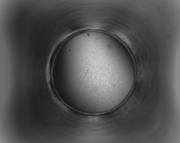 X0000088361080200705291302