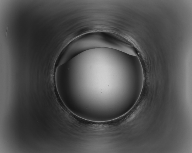 X0000088361081200705291302