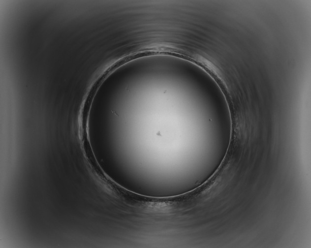 X0000088361082200705291302