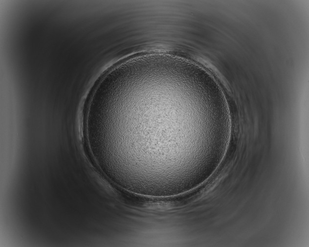 X0000088361083200705291302