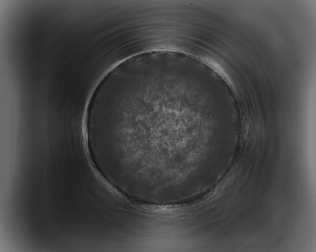 X0000088361084200705291302