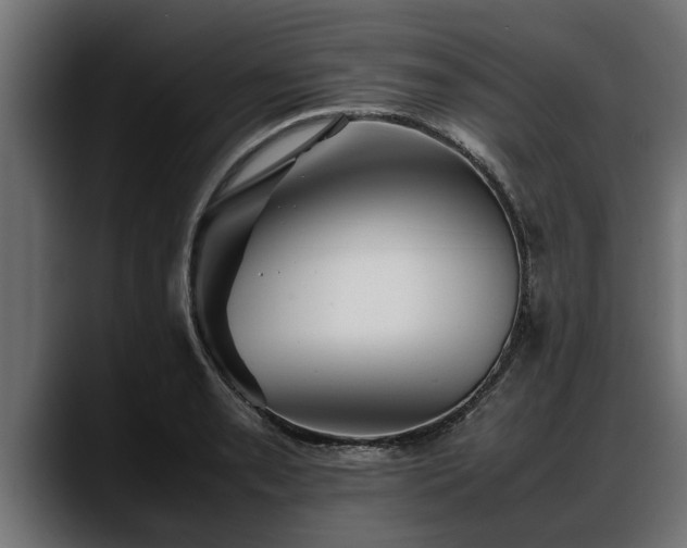 X0000088361085200705291302