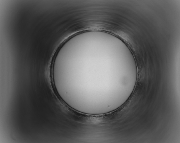 X0000088361086200705291302