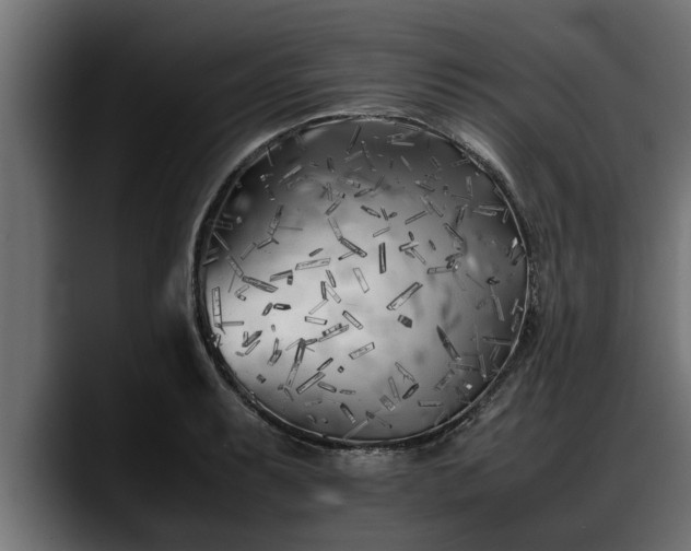 X0000088361087200705291302