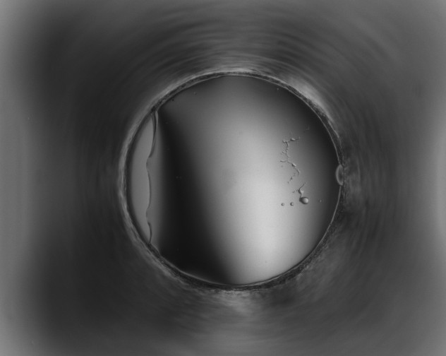 X0000088361088200705291302