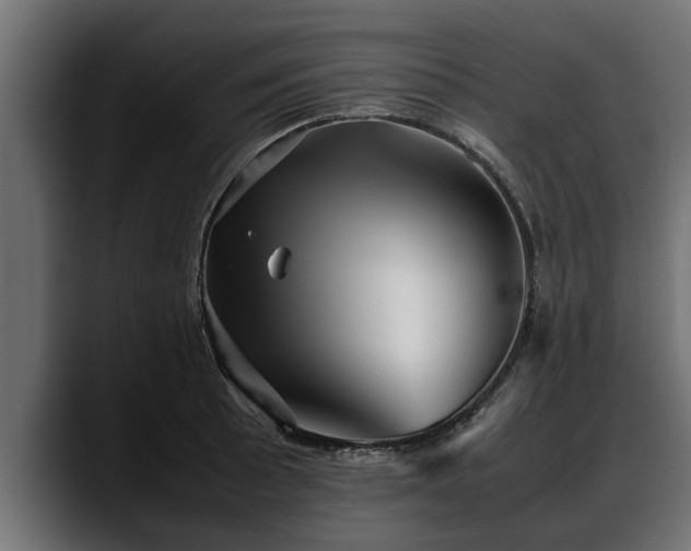 X0000088361089200705291302