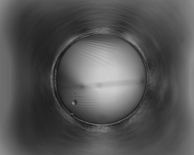 X0000088361090200705291302