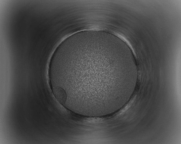 X0000088361091200705291302