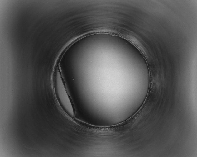 X0000088361092200705291302