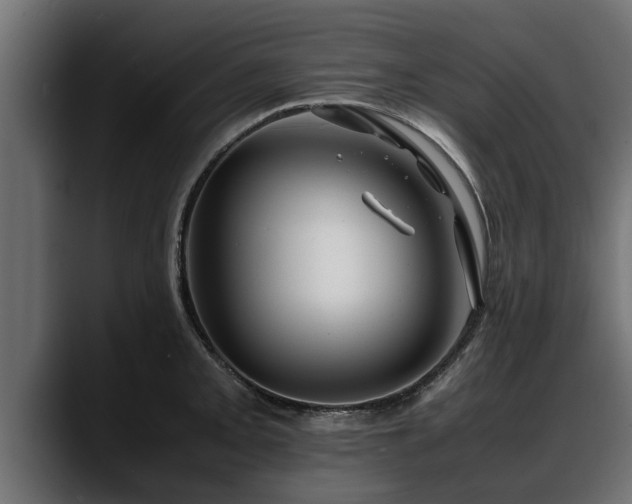 X0000088361093200705291302