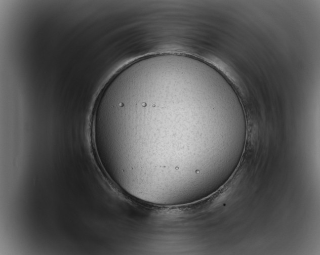 X0000088361094200705291302