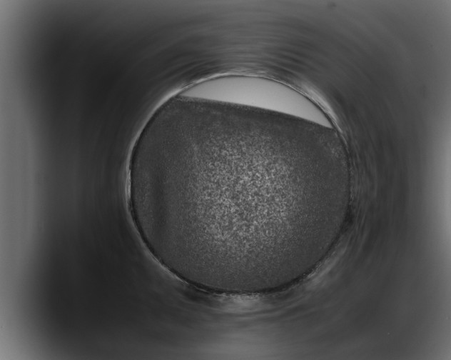 X0000088361095200705291302