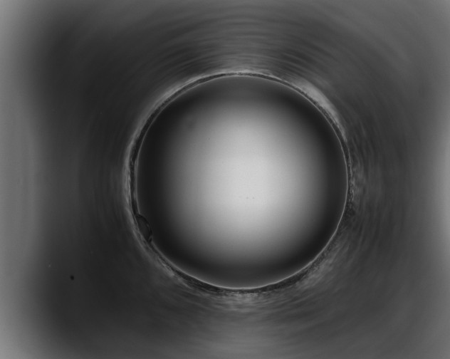 X0000088361096200705291302