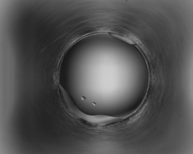 X0000088361097200705291302