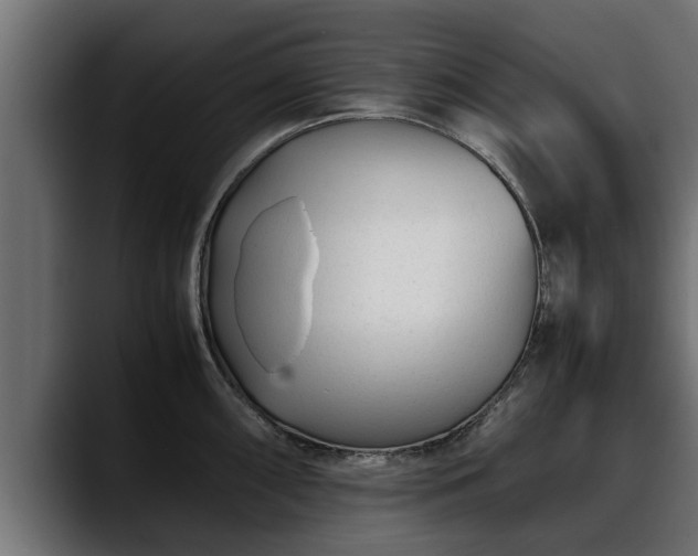 X0000088361098200705291302