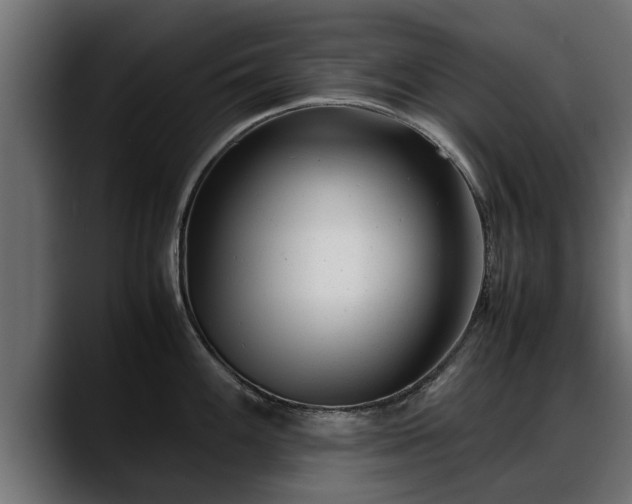 X0000088361100200705291302