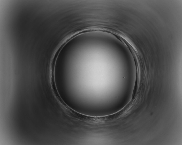 X0000088361101200705291302