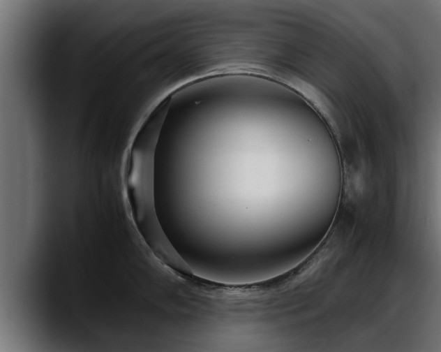 X0000088361102200705291302