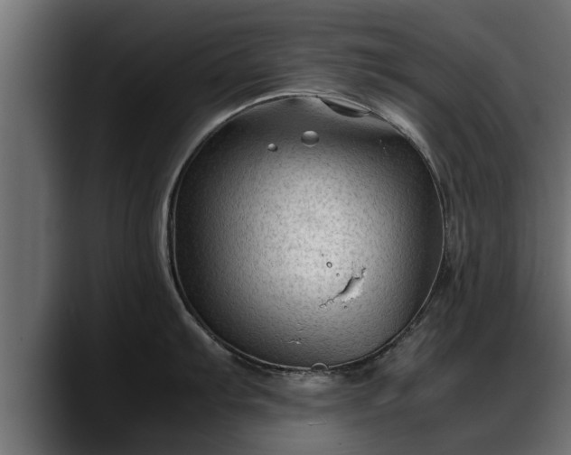 X0000088361103200705291302