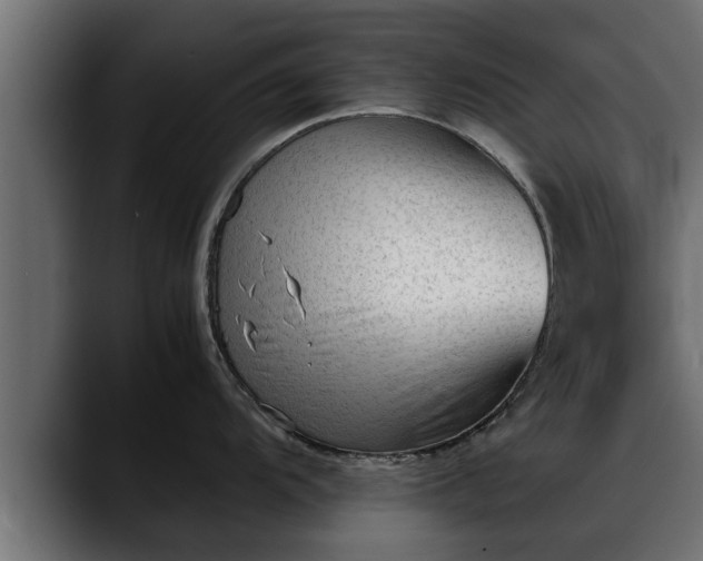 X0000088361104200705291302