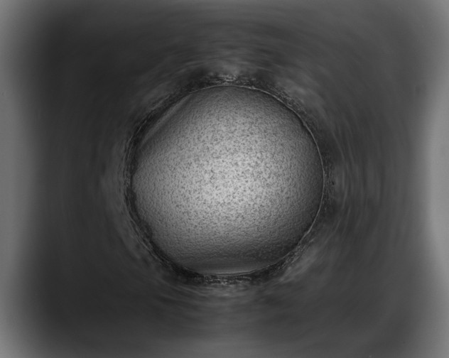 X0000088361105200705291301