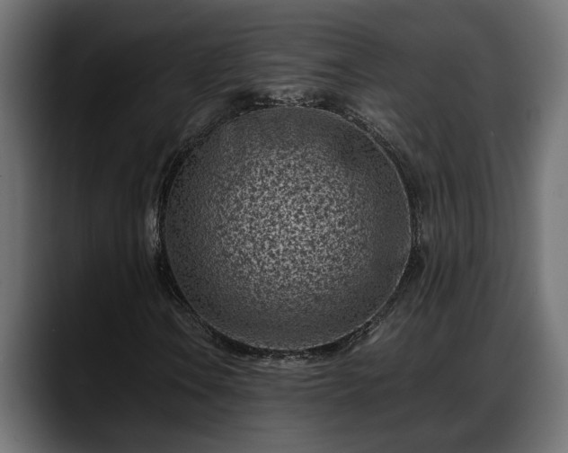 X0000088361106200705291302