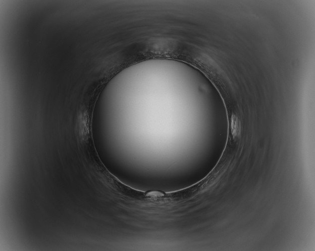 X0000088361107200705291302