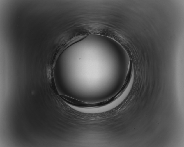 X0000088361108200705291302