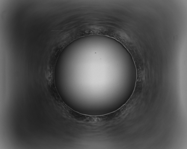 X0000088361109200705291302