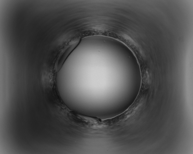 X0000088361110200705291302