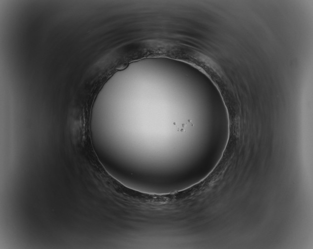 X0000088361111200705291302