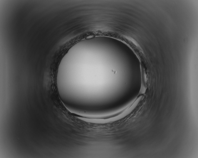 X0000088361112200705291302