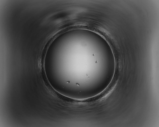 X0000088361113200705291302